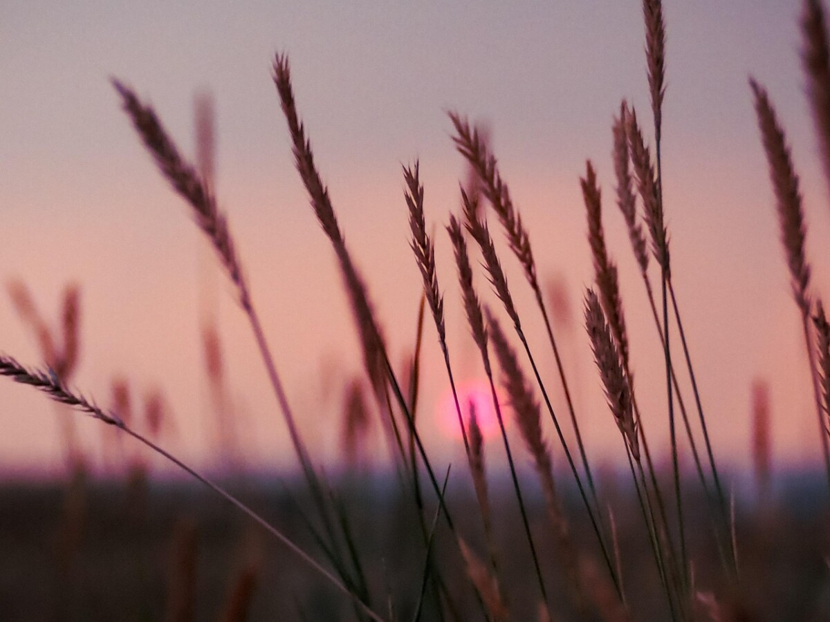 Financial Steps to Take After the Loss of a Spouse