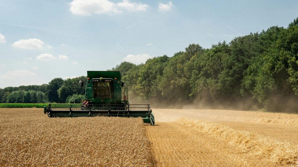 Tax Loss Harvesting Explained What Investors Need to Know