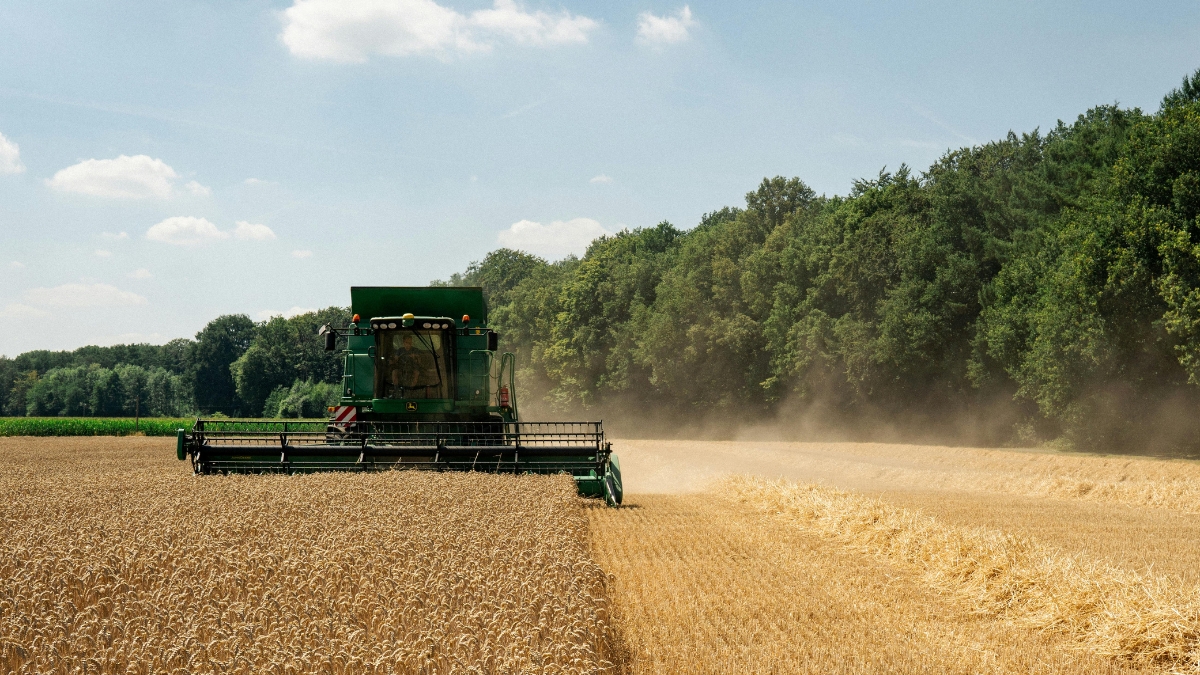 Tax Loss Harvesting Explained: What Investors Need to Know